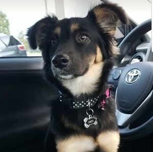 Meet your Posher, Vanessa